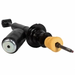 Order Front Shock Absorber by MOTORCRAFT - ASH25849 For Your Vehicle