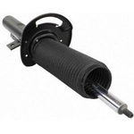 Order Front Shock Absorber by MOTORCRAFT - AST85996 For Your Vehicle