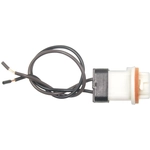 Order BLUE STREAK (HYGRADE MOTOR) - HP3845 - Courtesy Light Socket For Your Vehicle