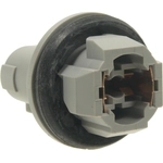 Order Front Side Marker Light Socket by BLUE STREAK (HYGRADE MOTOR) - S1091 For Your Vehicle