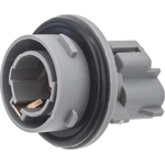 Order Front Side Marker Light Socket by BLUE STREAK (HYGRADE MOTOR) - S2668 For Your Vehicle