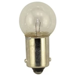 Order CEC Industries - 57BP - Front Sidemarker For Your Vehicle