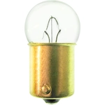 Order Front Sidemarker by CEC Industries - 97BP For Your Vehicle