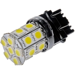 Order DORMAN - 3157W-SMD - Tail Light Bulb For Your Vehicle