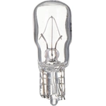 Order PHILIPS - 24CP - Multi Purpose Light Bulb For Your Vehicle