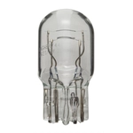 Order WAGNER - 7443 - Brake Light Bulb For Your Vehicle