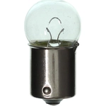 Order WAGNER - BP67 - Bulb For Your Vehicle