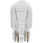 Order WAGNER - BP7443 - Bulb For Your Vehicle