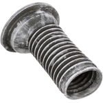 Order Front Spring Seat by DELPHI - TC6483 For Your Vehicle
