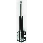 Order Front Strut by FCS AUTOMOTIVE - 331053 For Your Vehicle