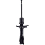 Order Front Strut by FCS AUTOMOTIVE - 331575 For Your Vehicle