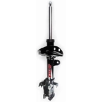 Order Front Strut by FCS AUTOMOTIVE - 333365L For Your Vehicle