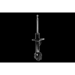 Order Front Strut by FCS AUTOMOTIVE - 335383R For Your Vehicle