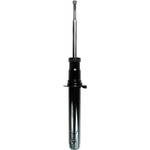 Order Front Strut by FCS AUTOMOTIVE - 335556 For Your Vehicle