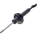 Order Front Strut by FCS AUTOMOTIVE - 335591 For Your Vehicle