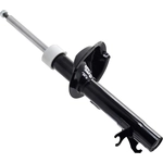 Order Front Strut by FCS AUTOMOTIVE - 336301L For Your Vehicle