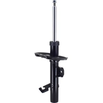 Order Front Strut by FCS AUTOMOTIVE - 337228R For Your Vehicle