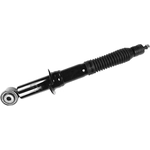 Order Front Strut by FCS AUTOMOTIVE - 345412 For Your Vehicle