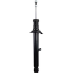 Order FCS AUTOMOTIVE - 345904R - Suspension Strut For Your Vehicle