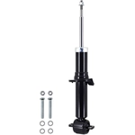 Order Front Strut by FCS AUTOMOTIVE - 345933 For Your Vehicle