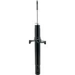 Order Front Strut by FCS AUTOMOTIVE - 345947 For Your Vehicle