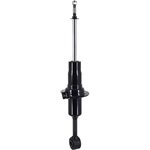 Order Front Strut by FCS AUTOMOTIVE - 355023 For Your Vehicle