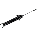 Order Front Strut by FCS AUTOMOTIVE - DT345594 For Your Vehicle