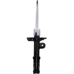 Order MOTORCRAFT - ASH85991 - Front Strut For Your Vehicle