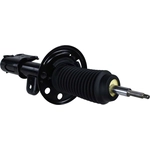 Order Front Strut by MOTORCRAFT - AST12277 For Your Vehicle