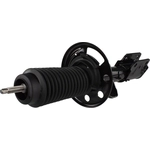 Order Front Strut by MOTORCRAFT - AST84815 For Your Vehicle