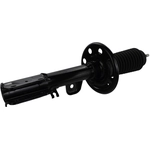 Order MOTORCRAFT - AST84818 - Front Strut For Your Vehicle