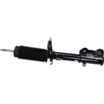 Order Front Strut by MOTORCRAFT - AST881 For Your Vehicle