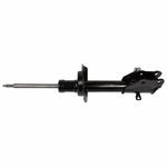 Order Front Strut by MOTORCRAFT - ASH12297 For Your Vehicle