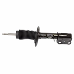 Order Front Strut by MOTORCRAFT - AST12268 For Your Vehicle