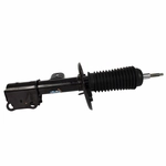 Order Front Strut by MOTORCRAFT - AST12269 For Your Vehicle