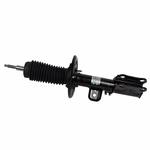 Order Front Strut by MOTORCRAFT - AST12274 For Your Vehicle