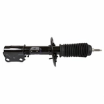 Order Front Strut by MOTORCRAFT - AST12276 For Your Vehicle