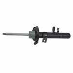 Order Front Strut by MOTORCRAFT - AST12293 For Your Vehicle