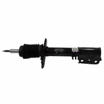 Order Front Strut by MOTORCRAFT - AST12296 For Your Vehicle