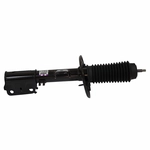 Order Front Strut by MOTORCRAFT - AST12298 For Your Vehicle