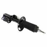 Order Front Strut by MOTORCRAFT - AST12315 For Your Vehicle