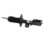 Order Front Strut by MOTORCRAFT - AST12322 For Your Vehicle
