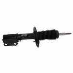 Order Front Strut by MOTORCRAFT - AST12323 For Your Vehicle