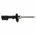 Order Front Strut by MOTORCRAFT - AST12335 For Your Vehicle