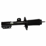 Order Front Strut by MOTORCRAFT - AST12345 For Your Vehicle