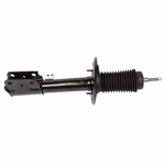 Order Front Strut by MOTORCRAFT - AST12346 For Your Vehicle