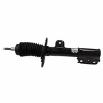 Order Front Strut by MOTORCRAFT - AST12356 For Your Vehicle