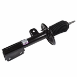 Order Front Strut by MOTORCRAFT - AST12358 For Your Vehicle