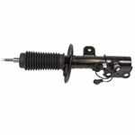 Order Front Strut by MOTORCRAFT - AST18204 For Your Vehicle