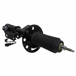 Order Front Strut by MOTORCRAFT - AST18205 For Your Vehicle